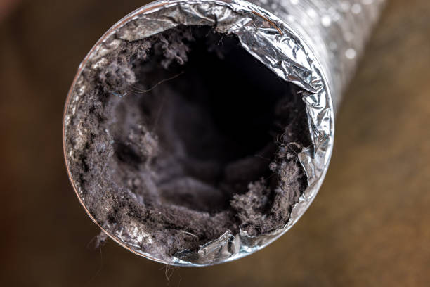 Best Ductwork Cleaning Services  in Harrodsburg, KY