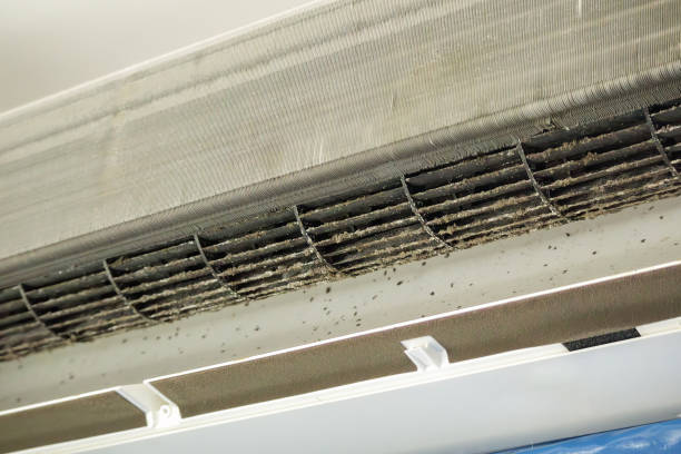 Best Air Duct Cleaning Company Near Me  in Harrodsburg, KY